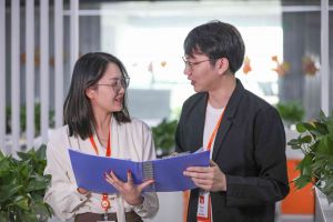 米兰在线登录的多元化选择：项目制用工与临时工